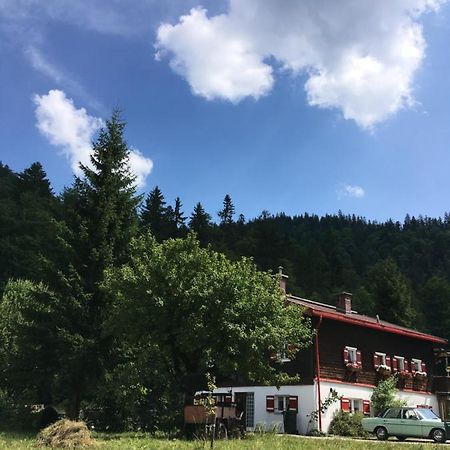 Gatterl Zum See Reit im Winkl Εξωτερικό φωτογραφία