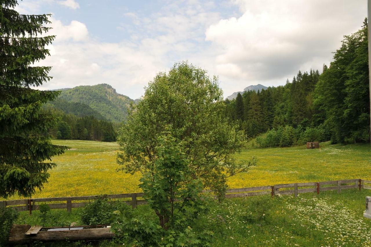 Gatterl Zum See Reit im Winkl Εξωτερικό φωτογραφία